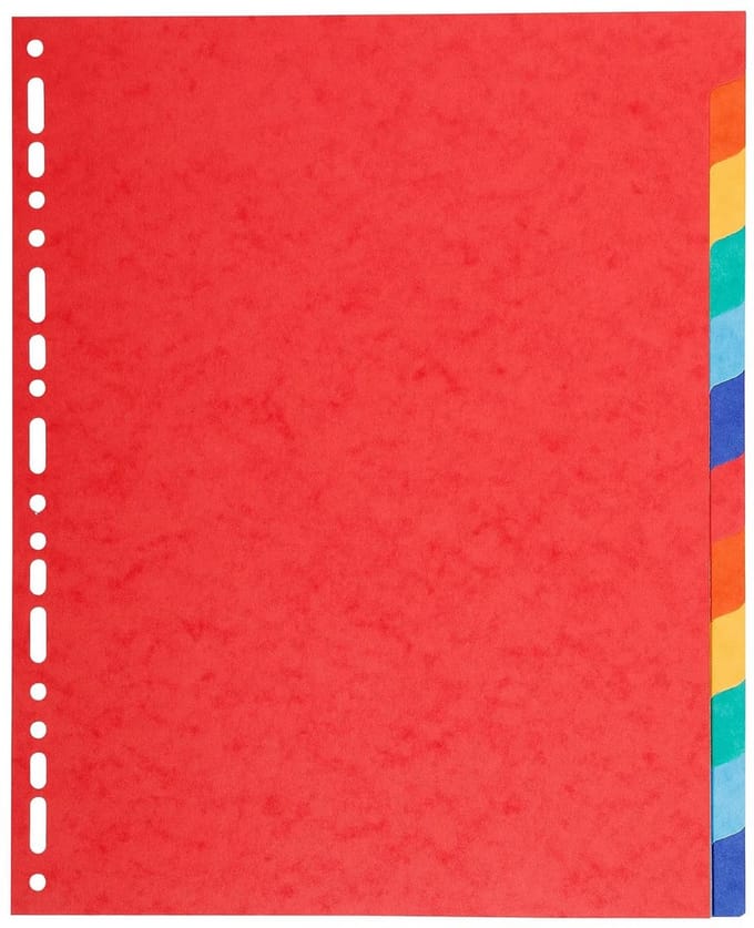 Ringmap A4 Maxi 12 Ringen 220g - Stevige Documentenorganizer