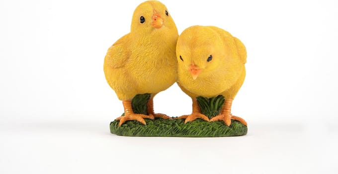 twee kuikens