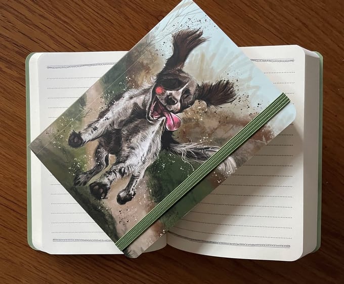Alex Clark Small Chunky Notebook Spaniel ~ Softcover Notitieboek Hond