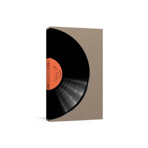A Record Of My Vinyl - Potter Gift