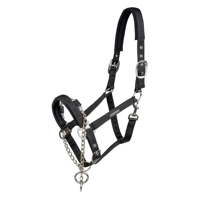 Halster voor paarden Waldhausen Pro Safety