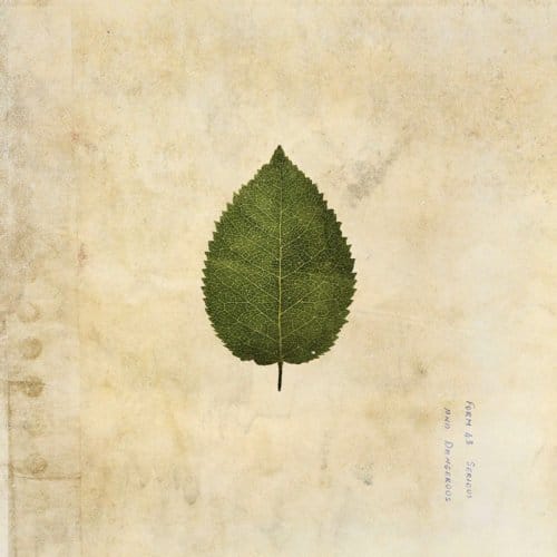 Boxer Rebellion - The Cold Still (Forest Green Vinyl)