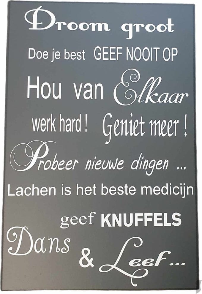 Houten tekst - spreukenbord - droom groot - wandbord - decoratieve wall art