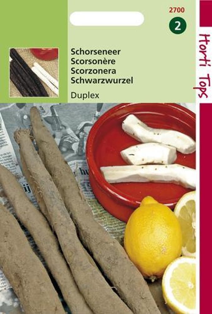 Hortitops Zaden - Schorseneren Duplex