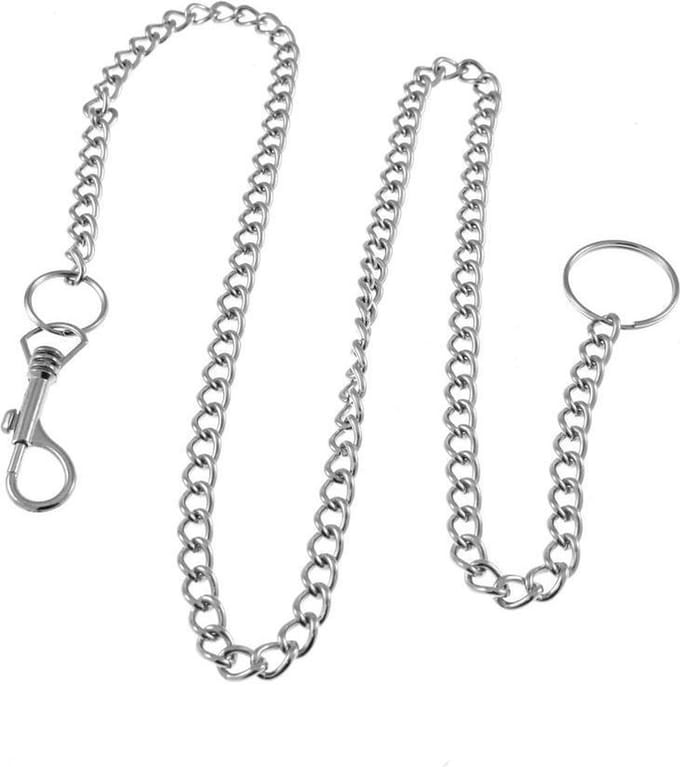 Zac's Alter Ego - 100 cm Sleutel-/broekketting - Zilverkleurig
