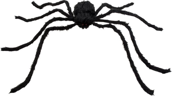 Boland - Decoratie Harige spin Graveweaver - Horror - Horror