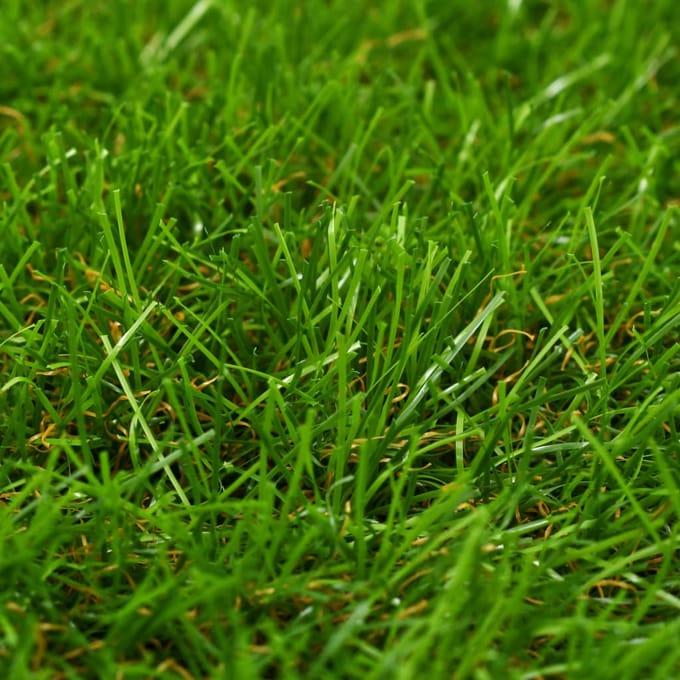 Vidaxl Kunstgras, 1X8 M; 30 mm, Groen
