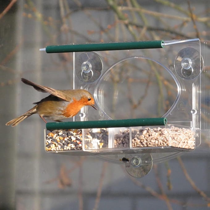 Bolmso - Raamvoederhuis - Birdfeeder - Kunststof