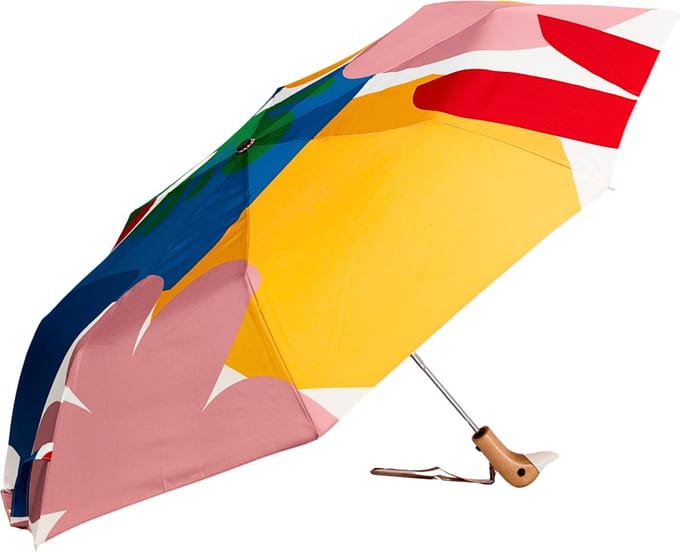 Duckhead | Duurzame paraplu | Matisse-motief | Meerkleurig