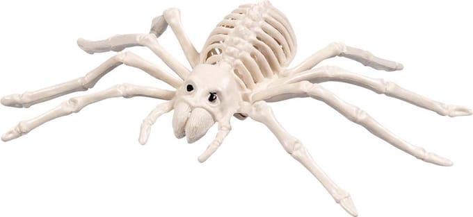 Halloween Spinnenskelet.