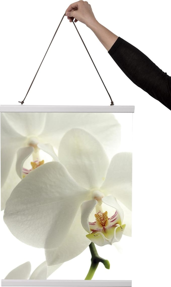 Witte posterhanger 71 cm