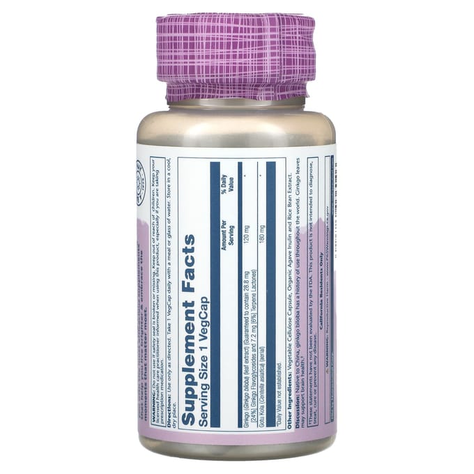 Ginkgo Biloba met Vitaal Extract, Gotu Kola, 60 Veggie Caps