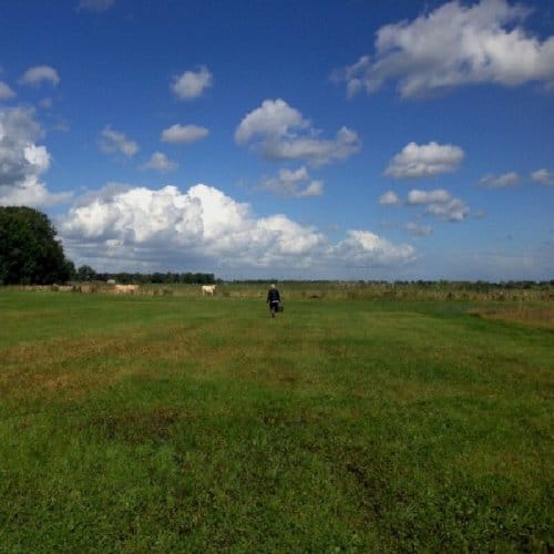 Hilvarenbeek Recordings - Biosphere