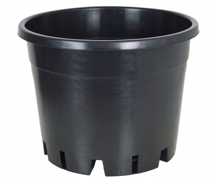 Plantenbak Blauwe Bes 39x30cm - 25L - Speciale Bodem