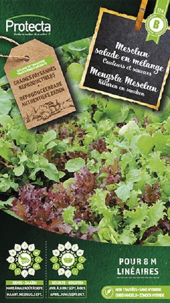 Protecta Groente zaden: Mengsla Mesclun