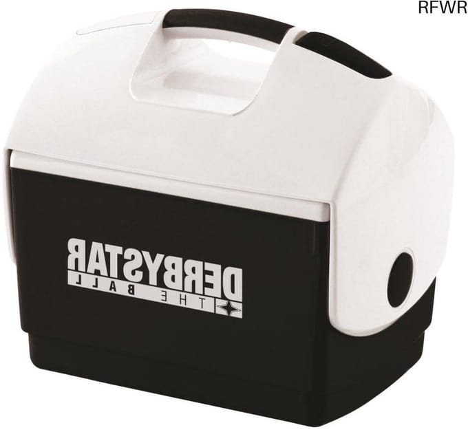 RFWR® Koelbox 10 Liter - Perfect voor Dranken en Koelkompressen