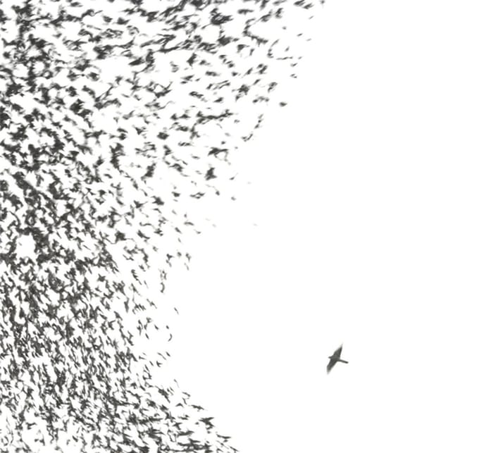 Sky Blue Sky - Wilco