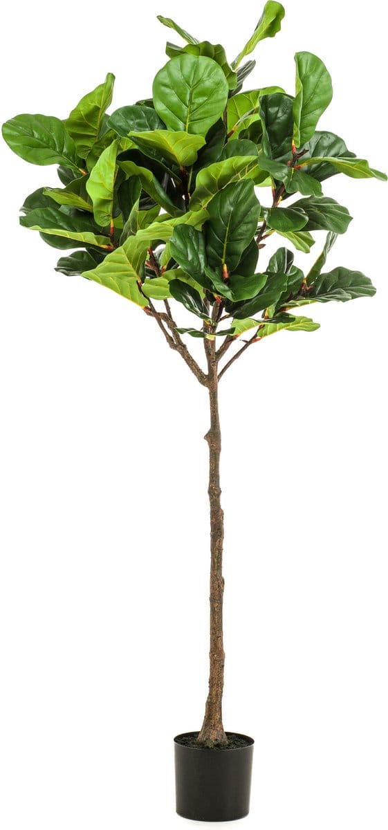 Kunstplant Ficus Lyrata 195 cm
