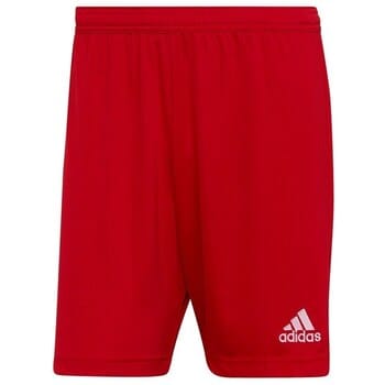 adidas Performance Entrada 22 Short - Heren - Rood- M