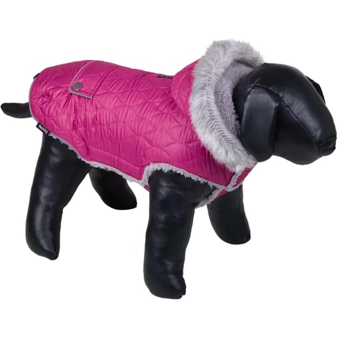 Hondenjas Nobby Pet Polar
