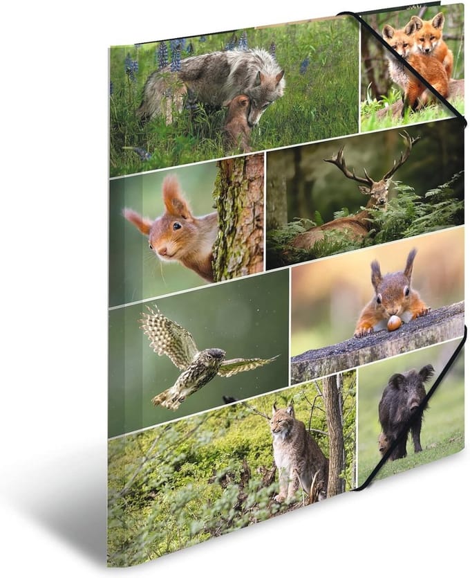 Verzamelmap A3 voor dierenwerelden - Bosdieren kinderhoekspanner-map met elastiek en kartonnen omslag