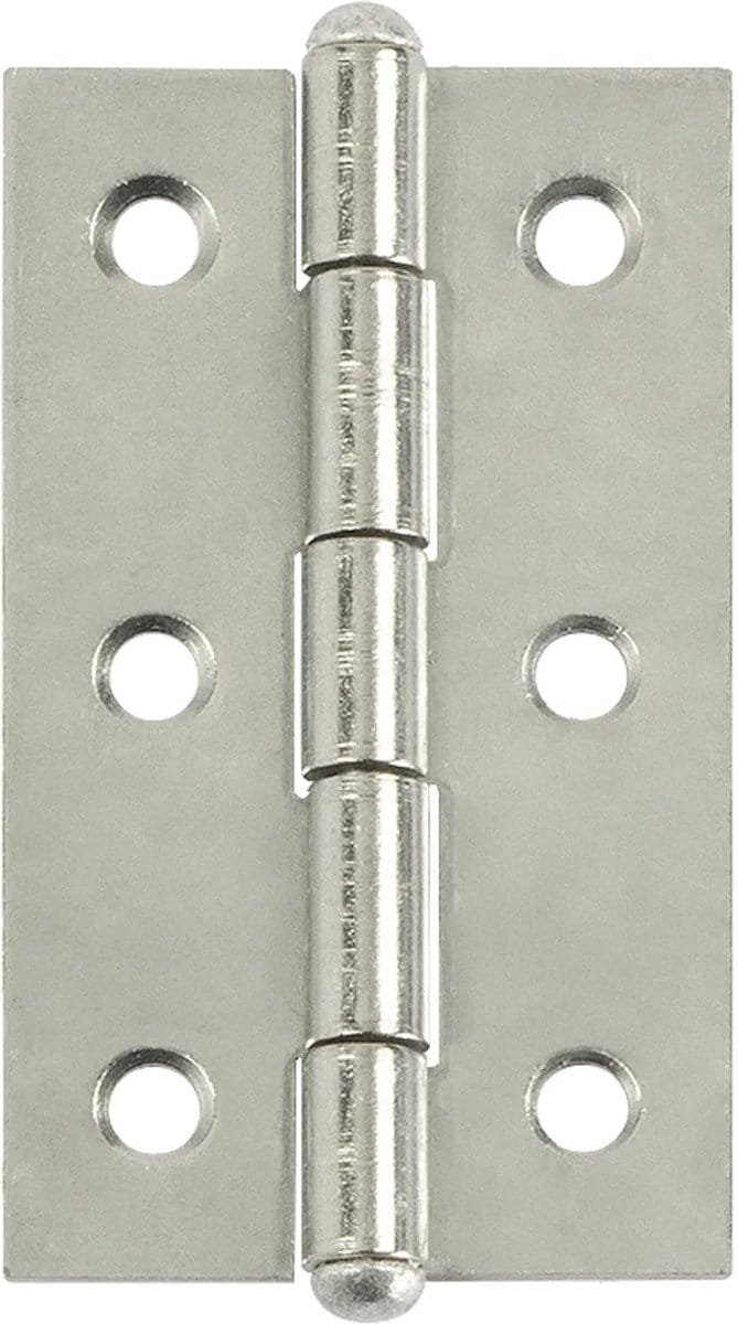 Deurscharnier - Rvs - 60x34 Mm - 2 Stuks