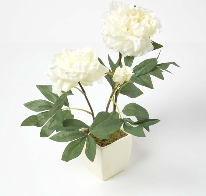 Homescapes kunstbloemen pioenroos in witte pot, crème