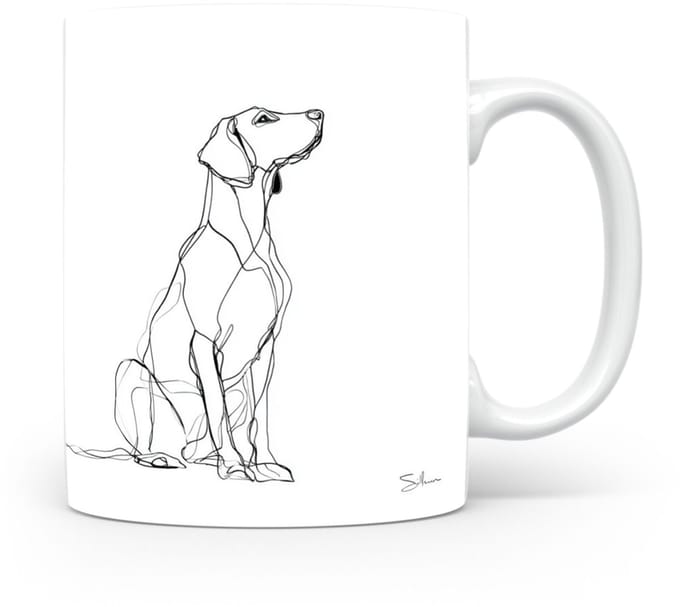 Beker Schillerstövare (Schiller Hound)