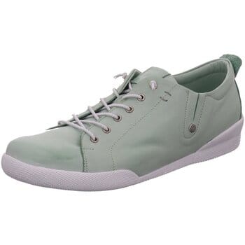Lage Sneakers Andrea Conti -