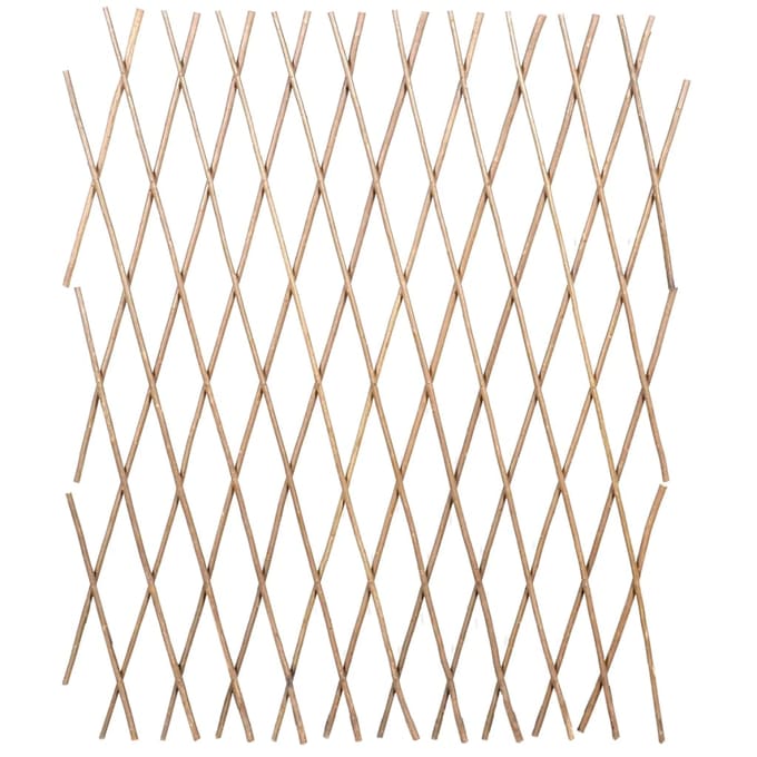 vidaXL - Tuinlatwerk - 5 - st - 180x90 - cm - wilg