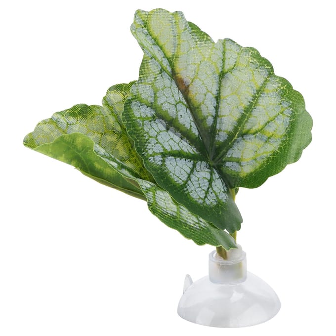 Betta Blad Hangmat Groen Aquarium Ornamentale Betta Rustplaats Paaibed Vissenkom Benodigdheden beige