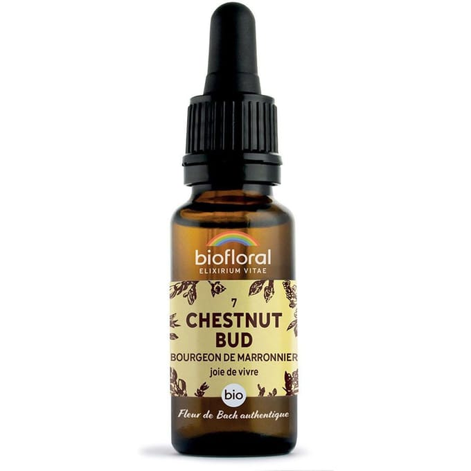 Biofloral- 07 - Chestnut Bud - Knop van de paardenkastanje - Bio - Bio Demeter - 20 ml