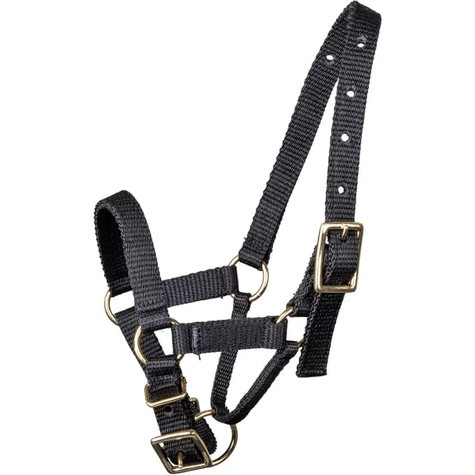 Alpaca halster Waldhausen