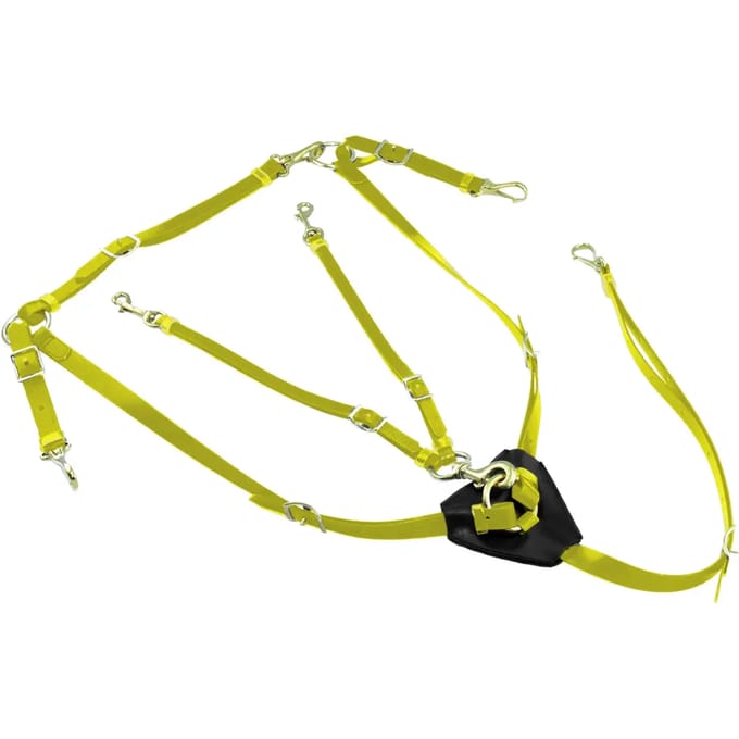 Biothane jachtcollier met martingale voor paard Lakota