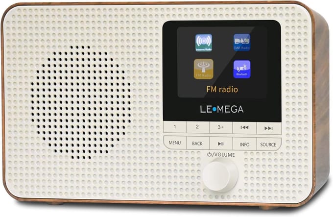Draagbare WIFI Internetradio met DAB+, FM en Bluetooth Speaker | Walnoot