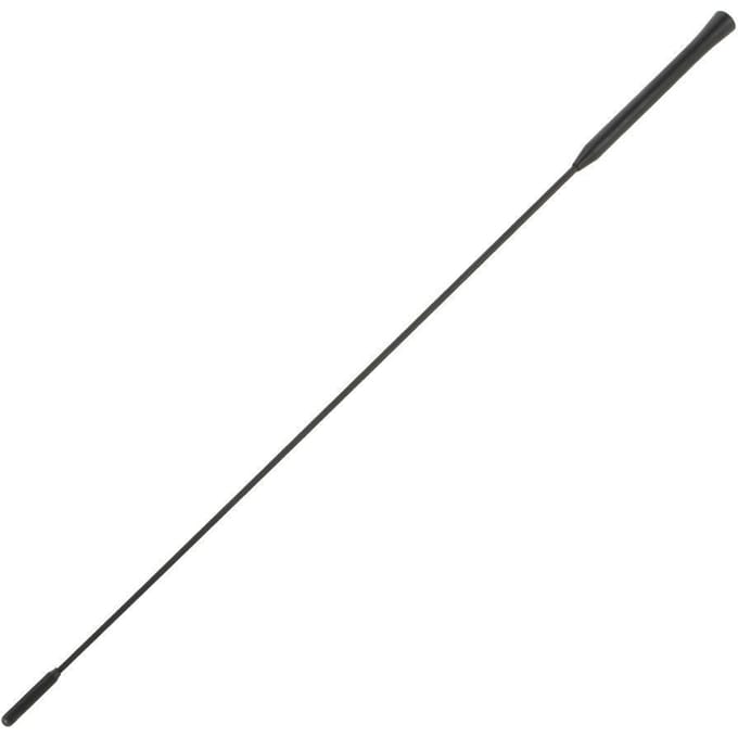 21,5  Dak AM/FM-antenne voor Ford Focus 2000-2007 98BZ18A886AA-CR198