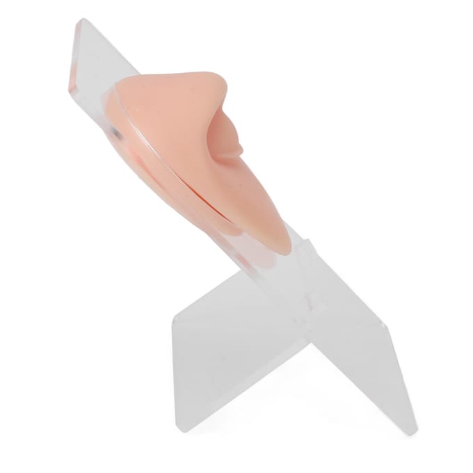 Modèle d'œil et de sourcil en silicone 3D simulé pour la pratique du piercing, modèle d'œil avec support pour l'exposition de bijoux beige clair