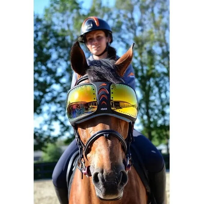 eQuick eVysor UV Paardrijbril - Oranje