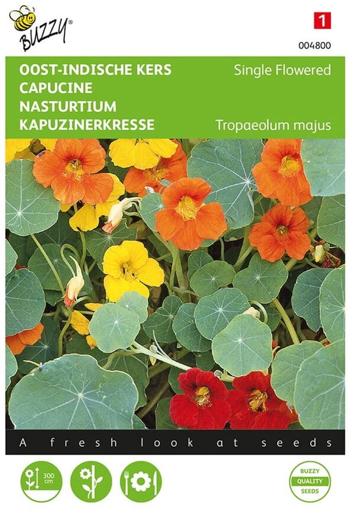 Oost-Indische kers mix - Tropaeolum majus (rankend gemengd)