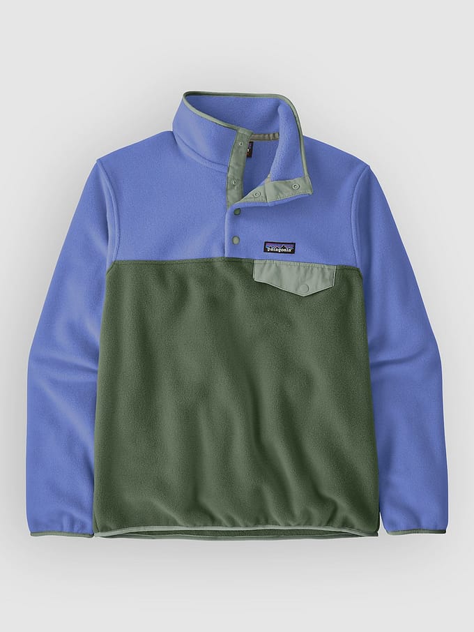 Patagonia LW Synch Snap-T Half-Zip Fleece Trui groen