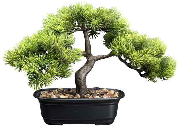 Kopu Kunstplant Bonsai - ca. 23x30 cm met Zwarte Sierpot