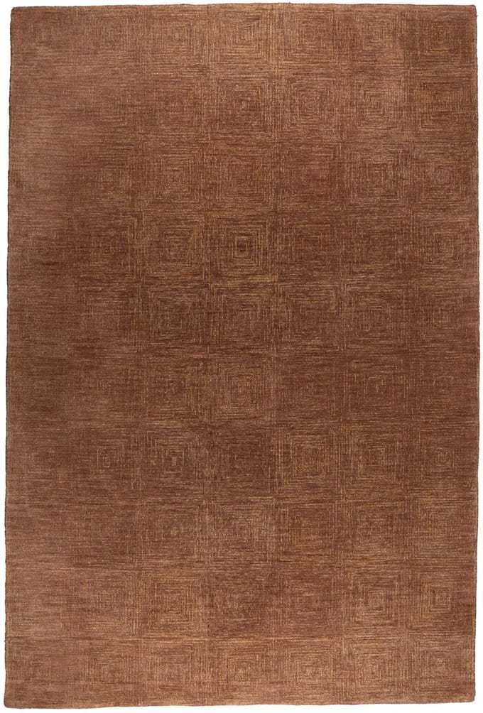 Dutchbone Maryland Vloerkleed 160x230 cm Rust - Roze