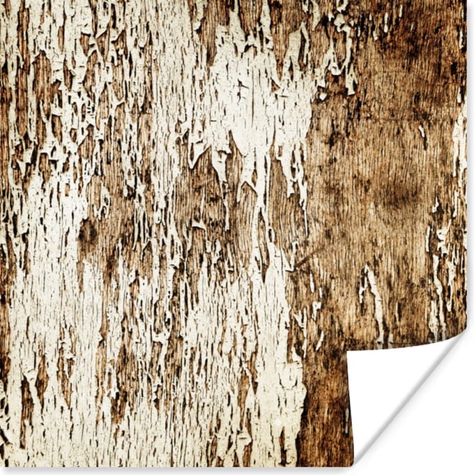 Poster Hout - Rustiek - Boom - 30x30 cm