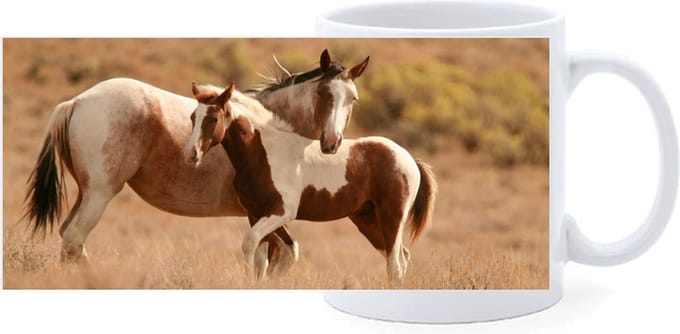 Beker - Paarden Paint Merrie met Veulen
