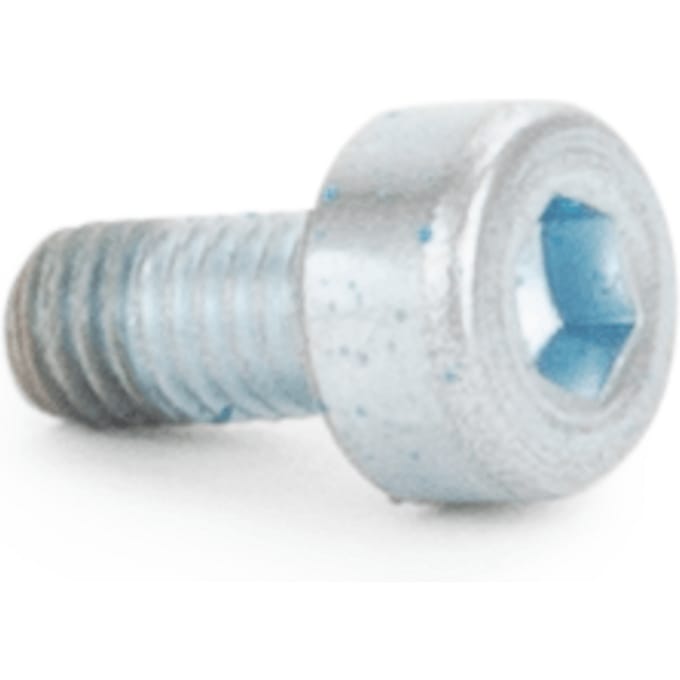 Screw