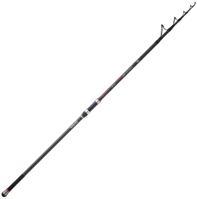 Daiwa Emblem Type R Telescopische Surfcasting Hengel Zilver 4.20 m / 200 g
