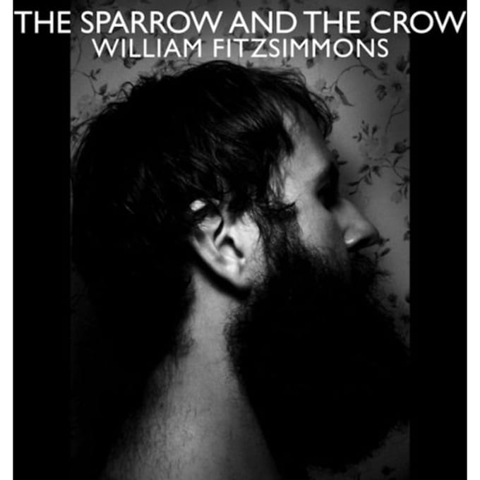 Sparrow And The Crow - William Fitzsimmons