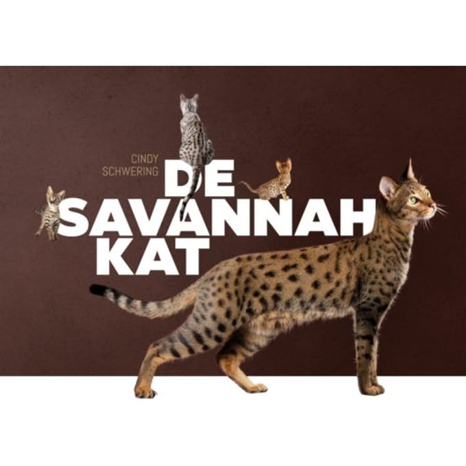 De Savannah Kat