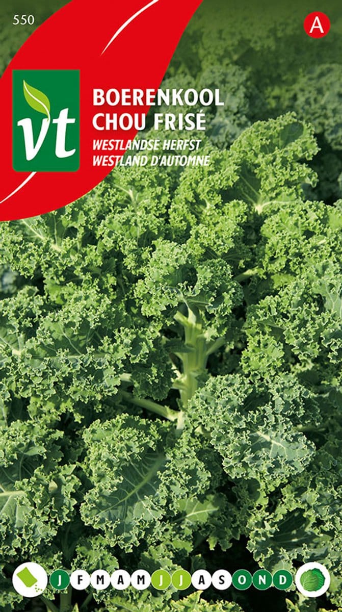 Boerenkool Westlandse Herfst - Weinig eisen, ideaal voor herfstteelt