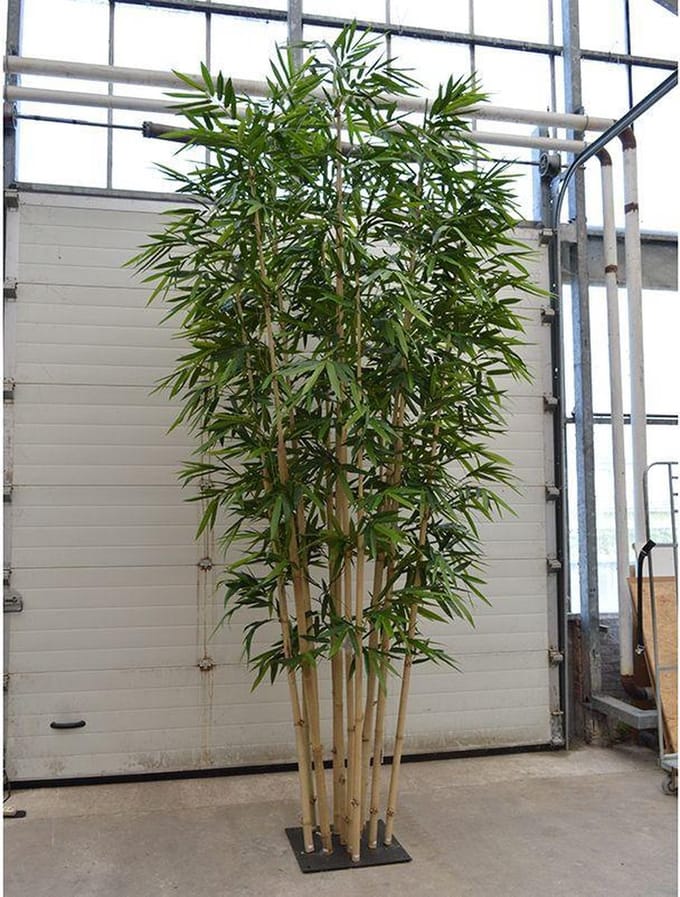 Bamboe deluxe kunstboom op plaat 400cm